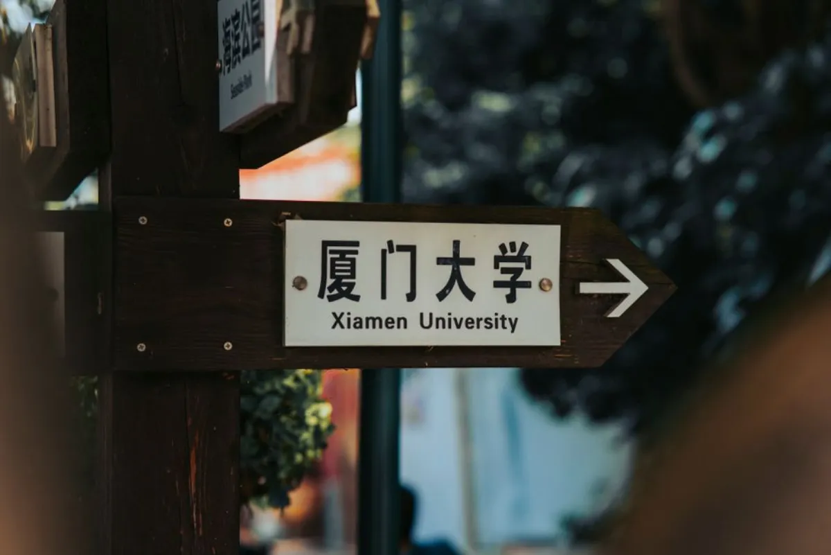 数学天才番茄牛肉饭实测做法
