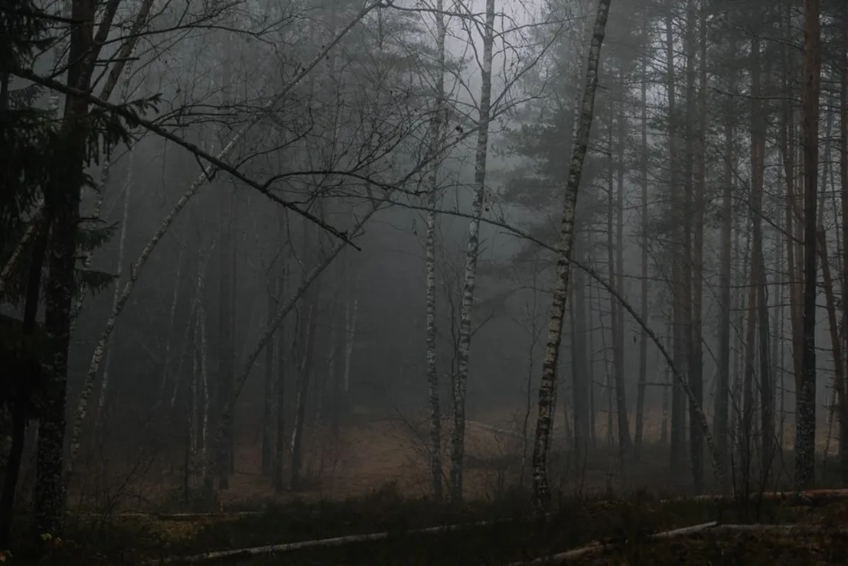 slender forest
